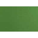 Medinis pakabinamas krėslas SWING POD su žalios spalvos pagalve (be stovo)